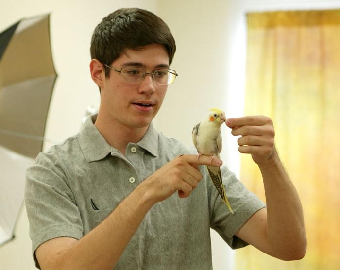 Kā mācīt parrot Corella runāt: padomu īpašniekam