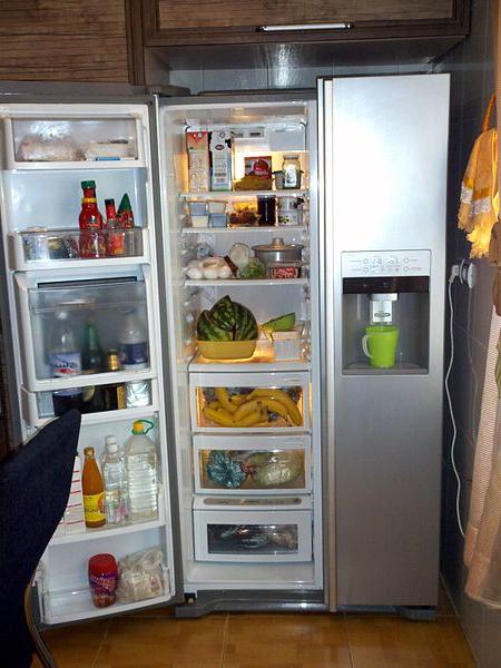 Kā izvēlēties ledusskapja padomus