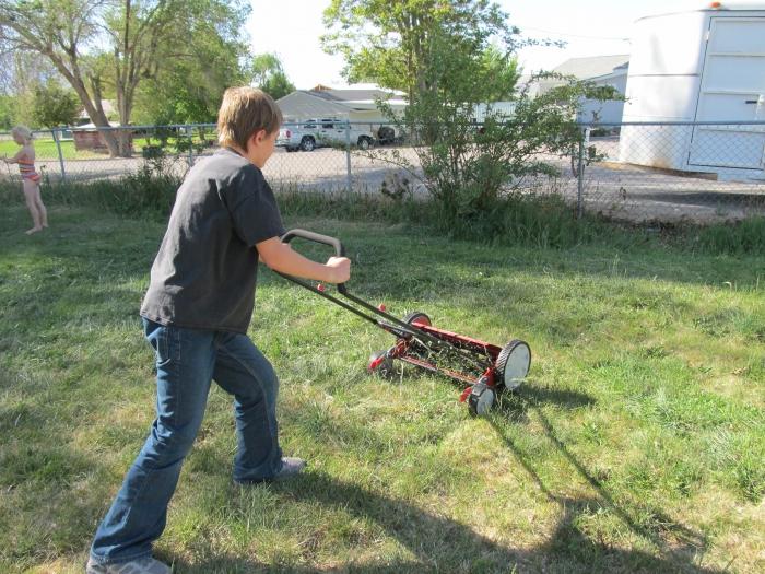 Zāles pļāvēji benzīna roku - jūsu palīgi radīt mākslīgu šedevrs sauc par "Lawn".