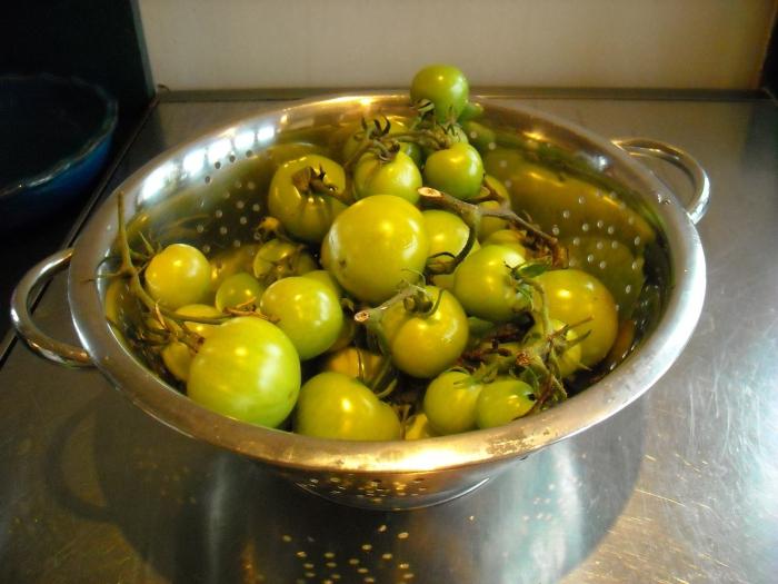 Kā marinēt zaļus tomātus kastrolis ar ātru recepti