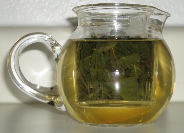 Zaļā piena oolong tēja