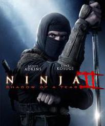  filmu saraksts par ninja