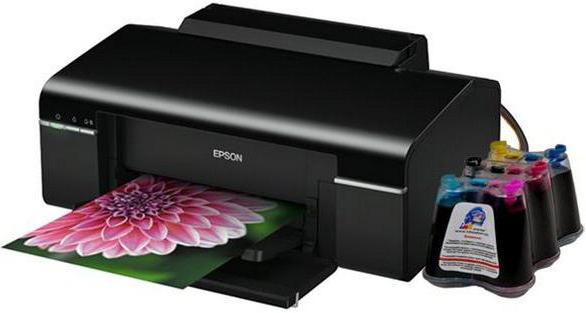 EPSON Stylus Photo P50: foto printeris ar izcilu drukas kvalitāti