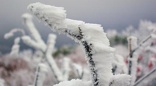 Frost ir pārsteidzošs fenomens