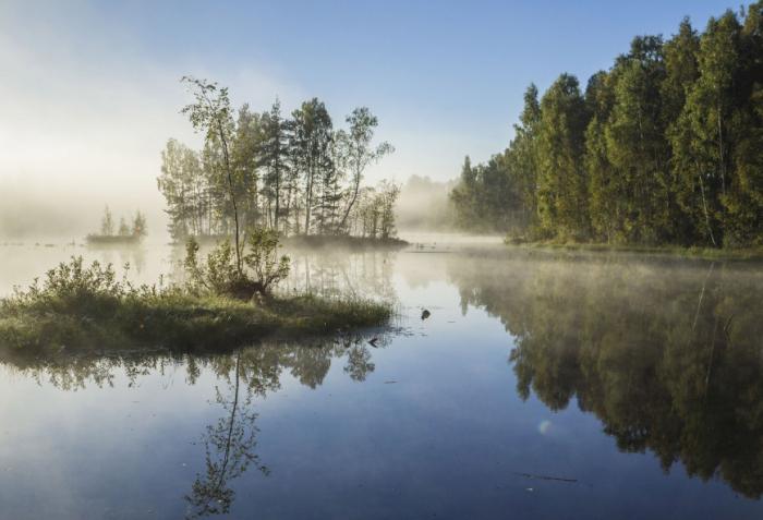 Ļeņingradas apgabala dabas aizsardzība