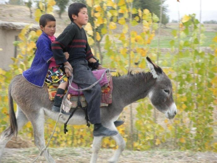 Uzbeku vīriešu vārdi: tradīciju nodošana no paaudzes paaudzē