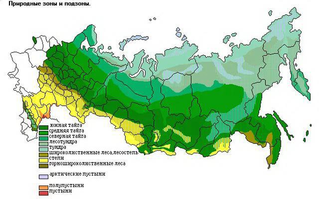 Steppe ģeogrāfiskā atrašanās vieta: galvenās īpašības