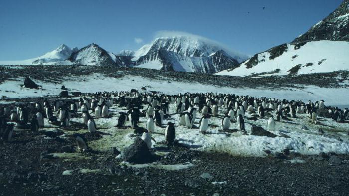 Galēji punkti Antarktīdā. Īss kontinenta apraksts