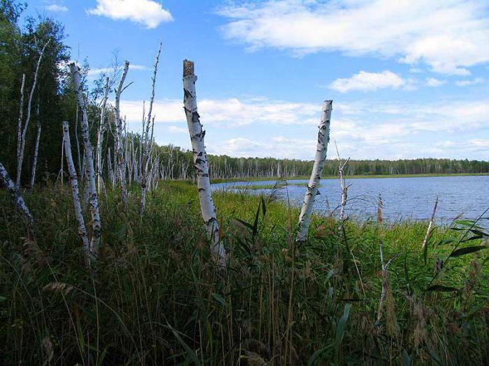 Lake Sladkoe un tās dabas mantojums