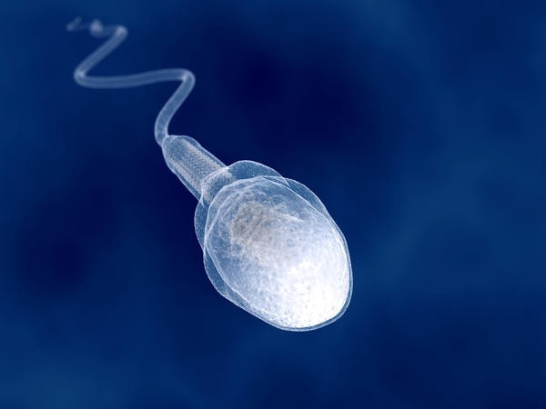 Cik daudz spermatozoīdu